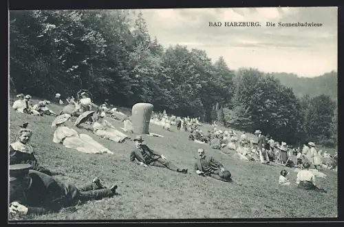 AK Bad Harzburg, Gäste auf der Sonnenbadwiese
