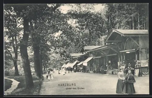 AK Harzburg, Unter den Eichen, Gasthaus, Panorama