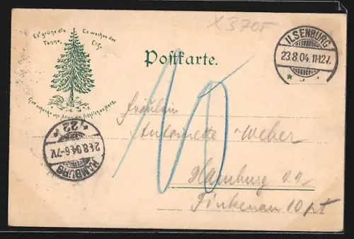 AK Ilsenburg, Inneres des Schlosses