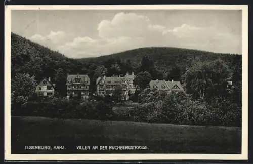 AK Ilsenburg, Villen an der Buchbergstrasse