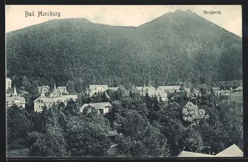 AK Bad Harzburg, Burgberg mit Ortsansicht