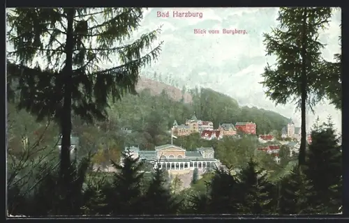 AK Bad Harzburg, Ortsansicht vom Burgberg