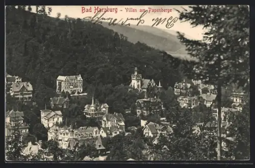 AK Bad Harzburg, Villen am Papenberge, Bergpanorama