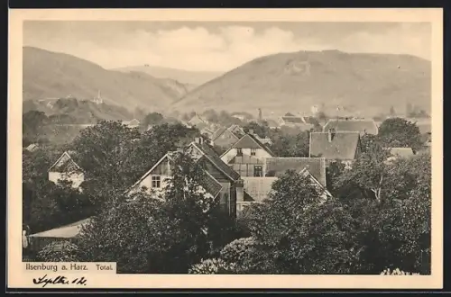 AK Ilsenburg /Harz, Totalansicht