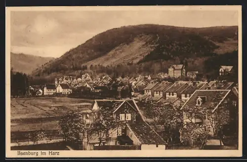 AK Ilsenburg / Harz, Gesamtansicht mit Buchberg