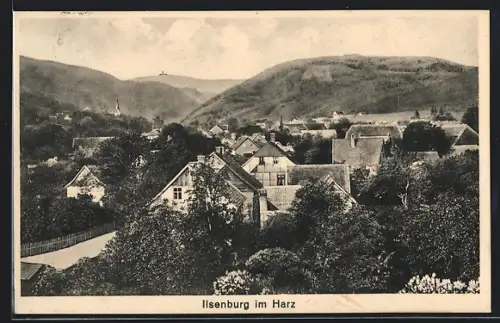 AK Ilsenburg / Harz, Ortsansicht