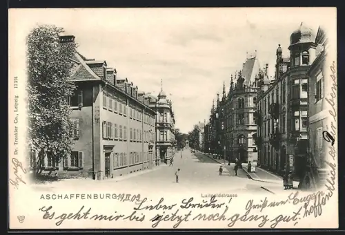AK Aschaffenburg, Partie aus der Luitpoldstrasse