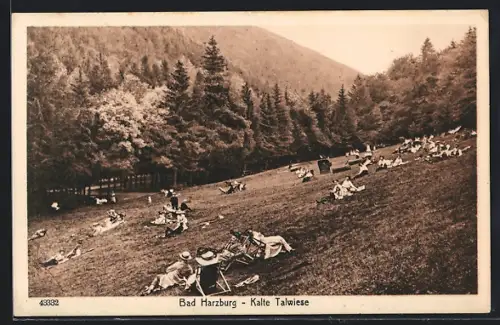 AK Bad Harzburg, Picknick-Freuden auf der Kalten Talwiese