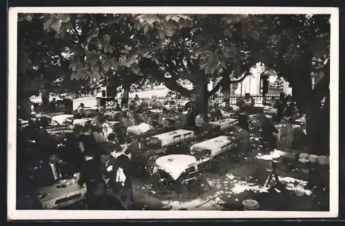 AK Berchtesgaden, Gasthof Neuhaus, schattiger Garten, Joh. Weigl