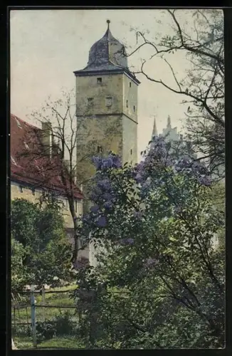 Künstler-AK Photochromie Nr. 1917: Quedlinburg, Eckiger Turm und blühender Flieder