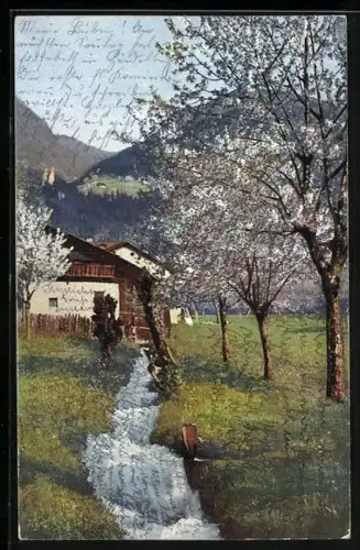 AK Photochromie NR: 2713, Obstblüte in Tirol, Gebäudeansicht mit Bach