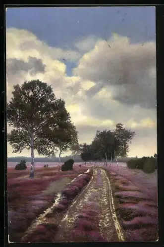 Künstler-AK Photochromie Serie 124 Nr. 2470: Blühender Feldweg