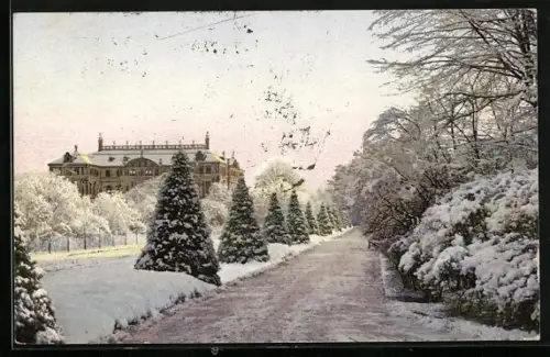 Künstler-AK Photochromie Nr. 4778: Schloss und Promenade im Winter