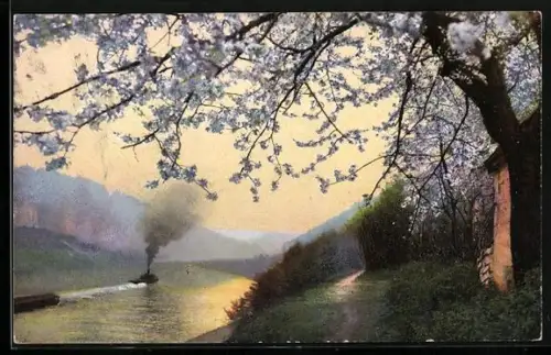 AK Photochromie NR 4895: blühender Baum am Flussufer, Dampfer
