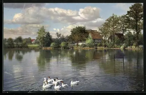 AK Photochromie NR 1962: Teich mit Schwänen