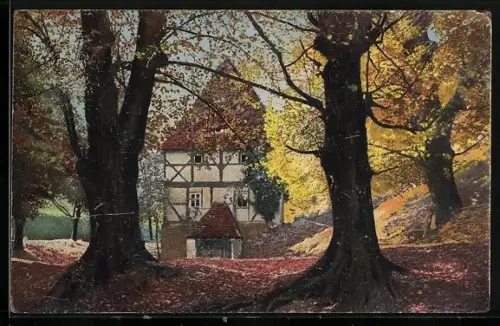 AK Photochromie NR: 1750, Fachwerkhaus vom herbstlichen Wald gesehen