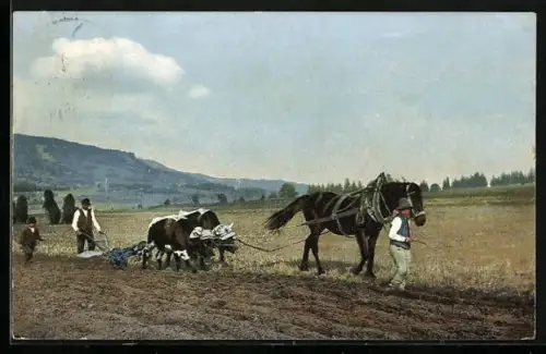 Künstler-AK Photochromie Nr. 1630: Pflügen mit Ochsen u. Pferden