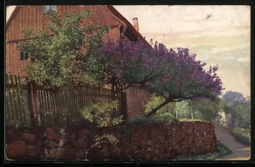 AK Photochromie NR. 3433: Schöner Fliederbaum vor einem alten Haus
