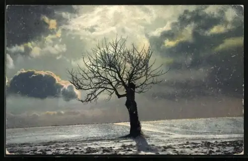 Künstler-AK Photochromie Nr. 1495: Winterlandschaft mit einsamem Baum bei wolkenverhangenem Himmel