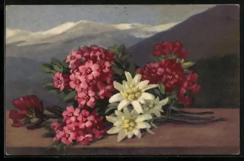 Künstler-AK Photochromie Nr. 1510: Edelweiss mit Alpenrosen