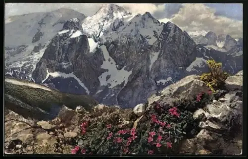 Künstler-AK Photochromie Nr. 791: Gebirgspanorama mit wilden Blumen
