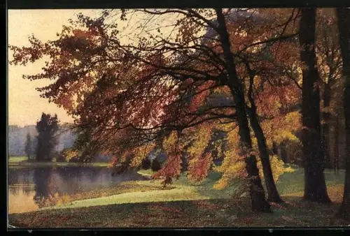Künstler-AK Photochromie Nr. 3287: Herbstlicher Park mit Teich
