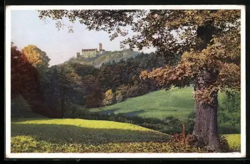 Künstler-AK Photochromie Serie 346, Nr. 5011: Blick zum Schloss