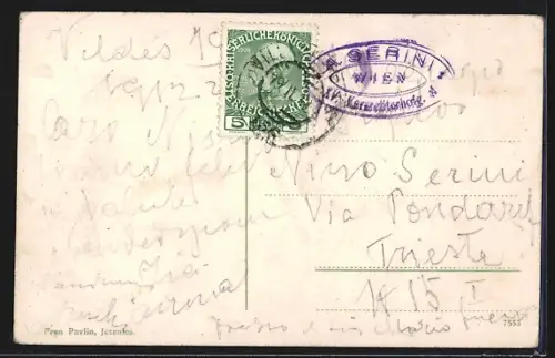 AK Veldes, Ortsansicht mit Karawanken aus der Vogelschau