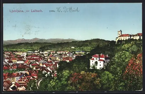 AK Ljubljana, Panorama