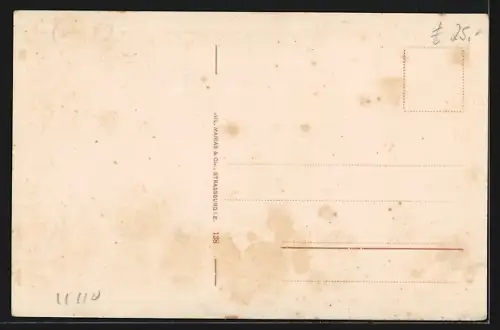 AK Rastatt, Wasserturm, Panorama