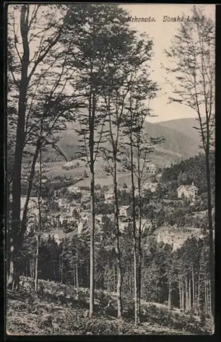 AK Jánské Lázne, Panorama