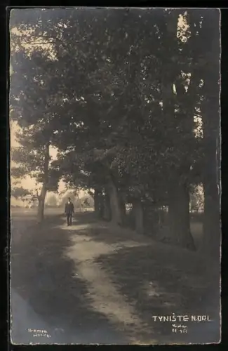AK Tyniste n. Orl., Parkpartie mit Mann