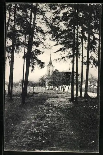 AK Lazne Velichovky, Ortspartie