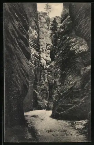 AK Teplické Skály, Sibir