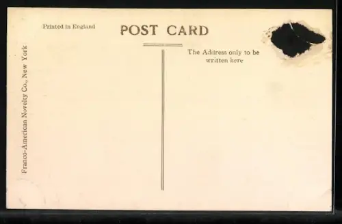 AK New York, NY, broaway and entrance to harbour, as seen from Woolworth Tower