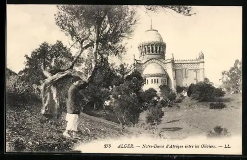 AK Alger, Notre-Dame d`Afrique entre les Oliviers