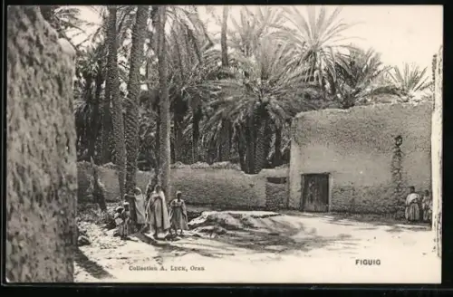 AK Figuig, Strassenpartie mit Palmen