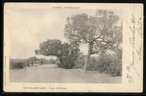 AK Kabylie, Les Cèdres