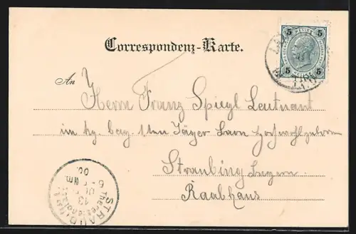 AK Landeck, Panorama mit Burg