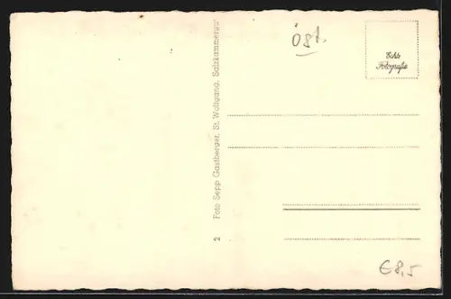 AK St. Wolfgang am Wolfgangsee, Teilansicht mit Kirche