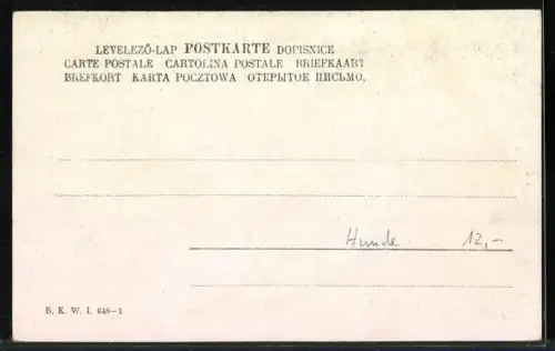 Künstler-AK Brüder Kohn (B.K.W.I) Nr. 648-1: Kleine Niederländerin und Hunde