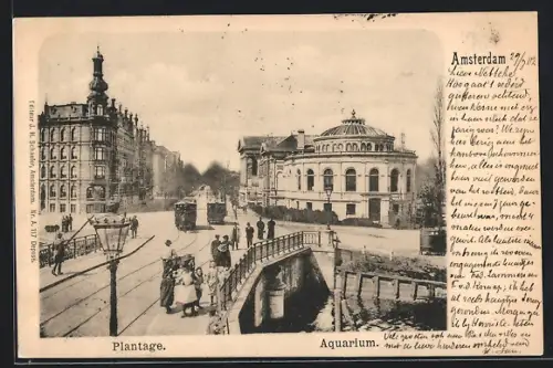 AK Amsterdam, Plantage, Aquarium, Pferdebahn