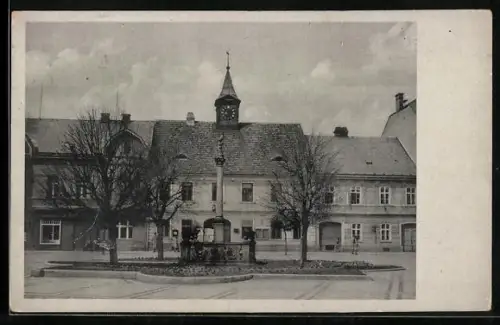 AK Tinischt a. d. Adler, Strassenpartie mit Denkmal