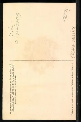 Künstler-AK Ceska Skalice, Památice Bozeny Nemcové 1820-1920
