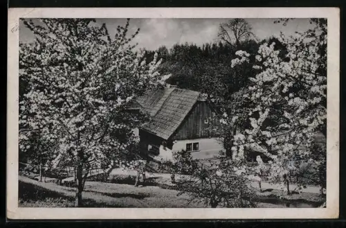 AK Ratiborschitz, Alte Bleiche