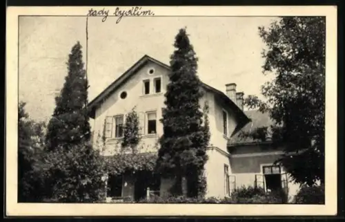 AK Nove Msto, Letni Tábor ywca v Rezku