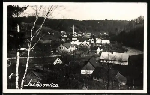 AK Suchovrsice, Panorama mit Strassenpartie