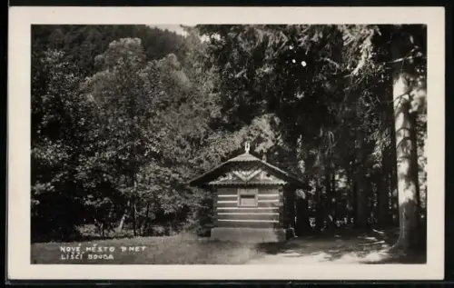 AK Nové Mesto n. Met., Liscí Bouda