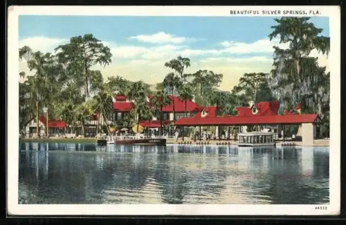 AK Silver Springs, FL, View of the resort