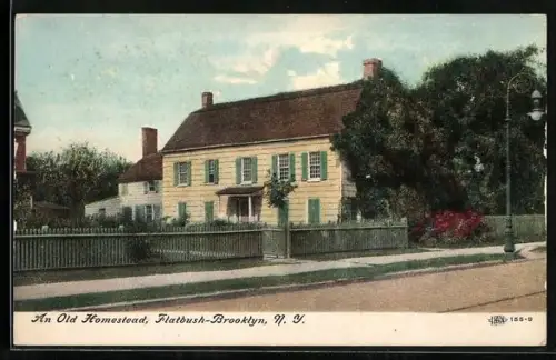 AK New York, NY, An Old Homestead, Flatbush-Brooklyn